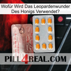Wofür Wird Das Leopardenwunder Des Honigs Verwendet new13